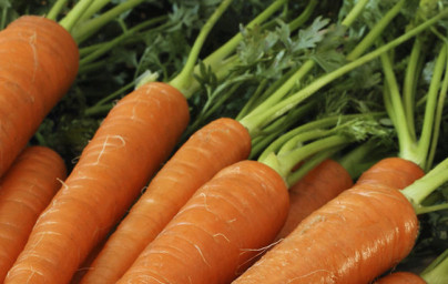 Vitamin A Vitamin A